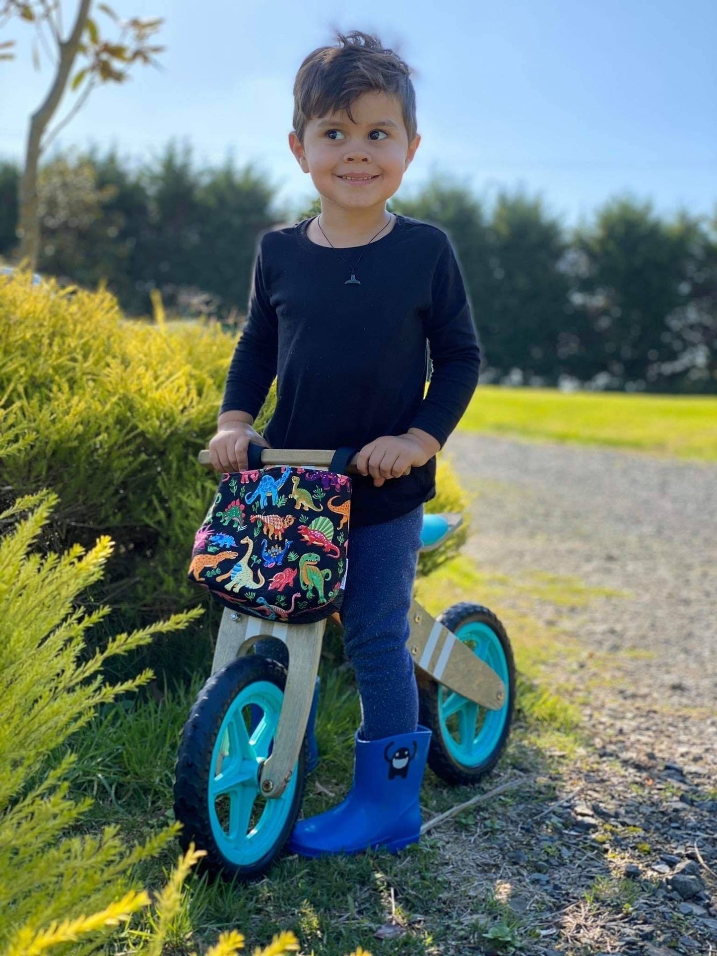 CUSTOM Bike/Scooter Bags
